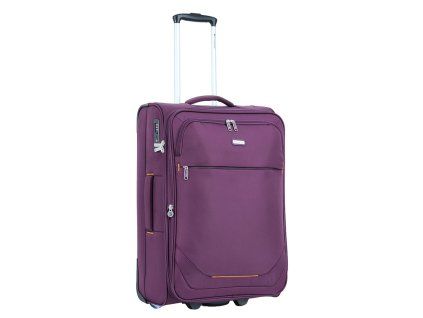 48503 violet 24 (3)