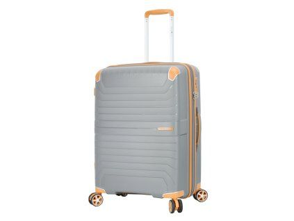 S59103 gris 24 (1)