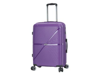 S54103 violet pensee 24 (1)