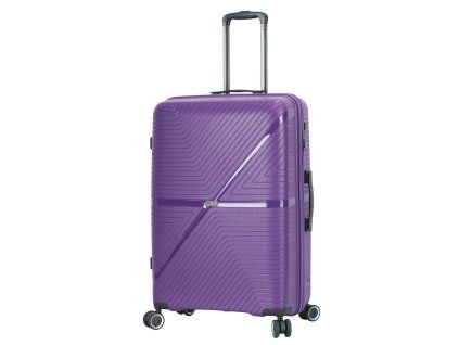 S54103 violet pensee 28 (1)
