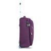 48503 violet 20 (7)