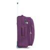 48503 violet 24 (8)