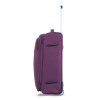 48503 violet 24 (9)