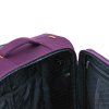 48503 violet 28 (17)