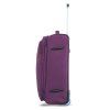 48503 violet 28 (7)