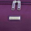 48503 violet 28 (9)