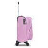 S48203 rose 20 (8)