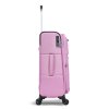 S48203 rose 28 (7)