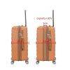 M33803 orange 24 (20)